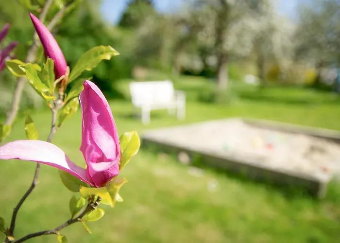 招待所 阿德尔海茨多夫旅馆