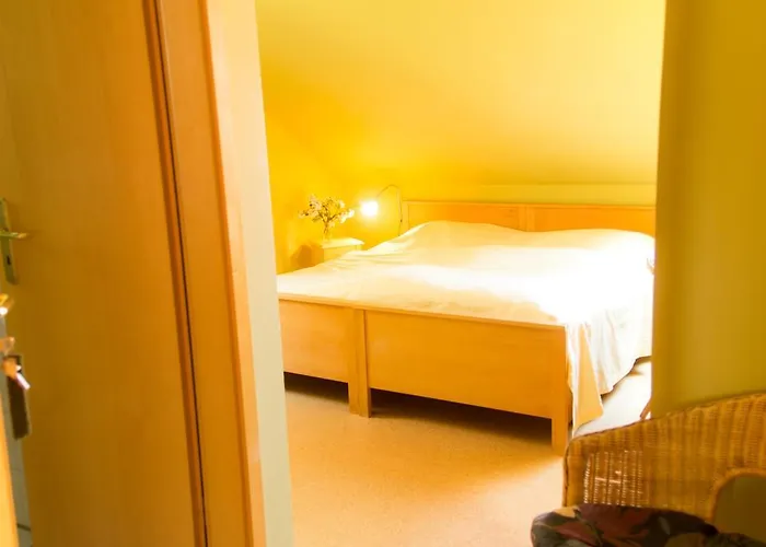 招待所 阿德尔海茨多夫旅馆 *